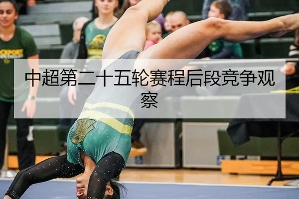 中超第二十五轮赛程后段竞争观察